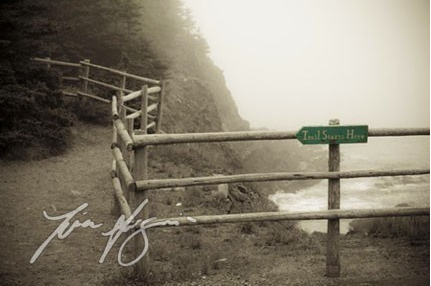 TrailStartsHere