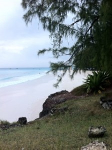 Reiki practice Barbados