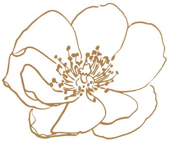 Flower Outlines, Reiki, Medicine and Self Care with Pamela Miles